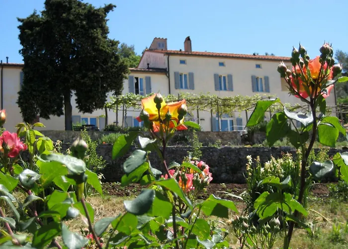 Podere Riparbella Massa Marittima